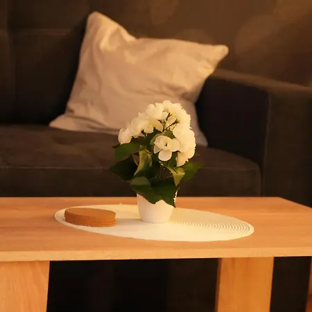 Dom V - Domplatz Erfurt