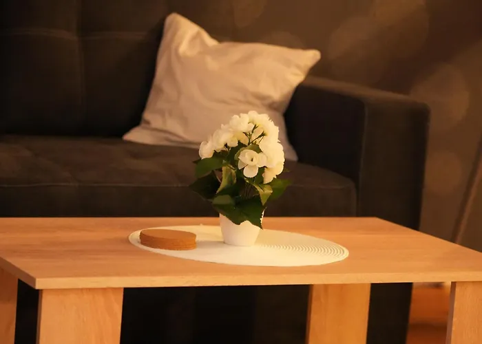 Dom V - Domplatz Erfurt